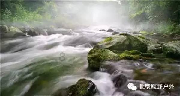 三亚沙滩现多起剧毒僧帽水母伤人事件,回应:无游客中毒